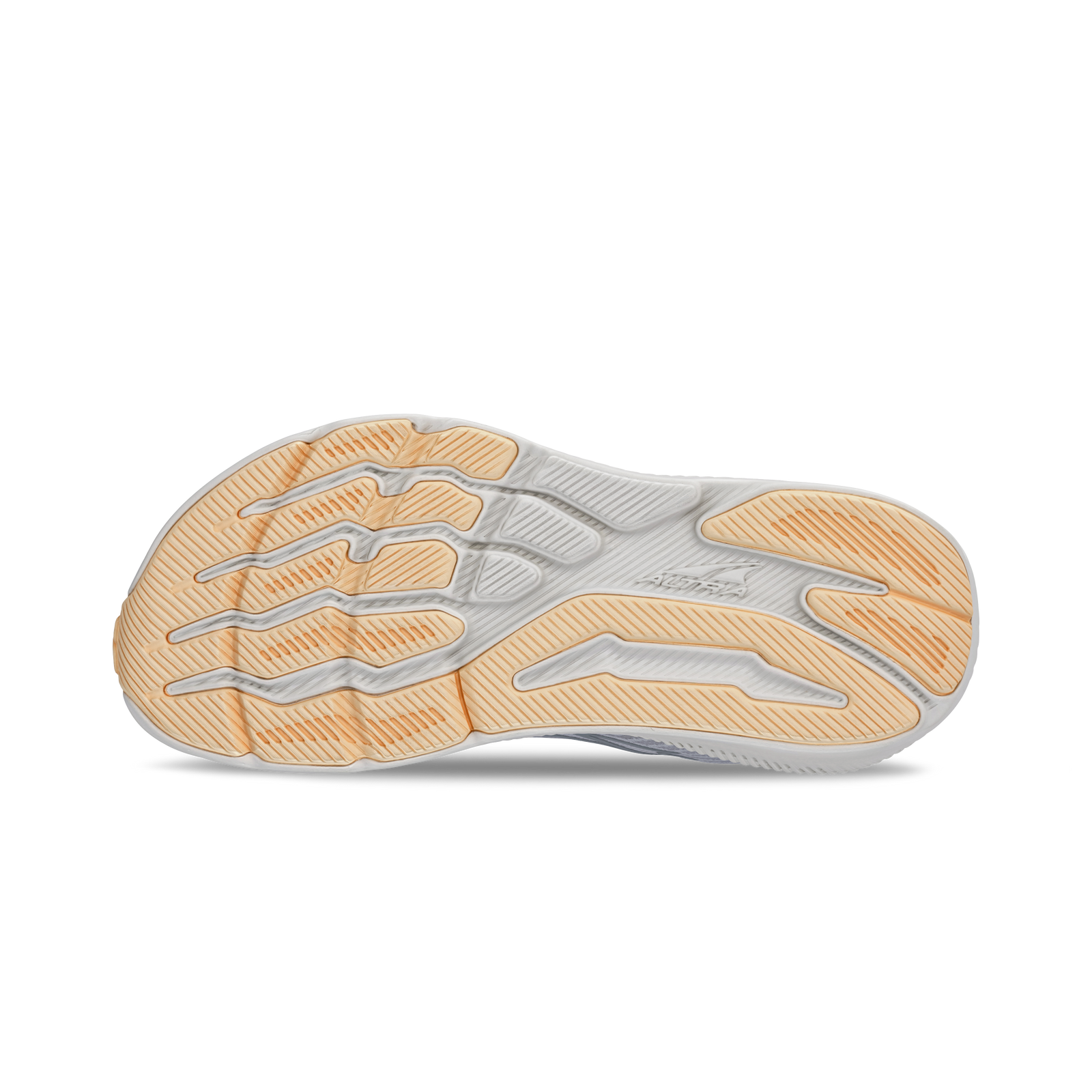 Women's Experience Form Gray - ver - 2