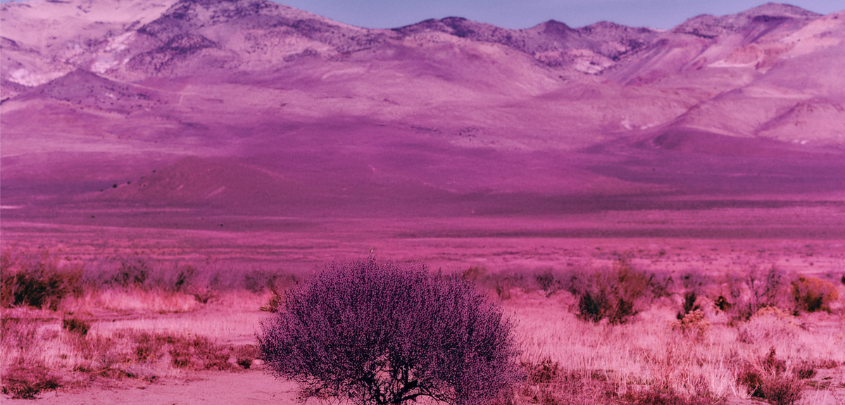 Section background image